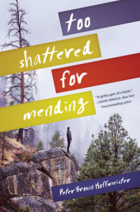 Cover of Too Shattered for Mending cover