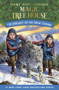 Cover of Sunlight on the Snow Leopard cover