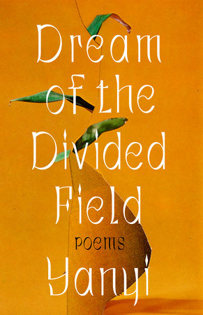 Dream of the Divided Field book cover
