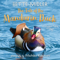 Cover of The Tale of the Mandarin Duck cover