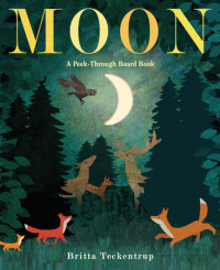 Book cover for Moon: A Peek-Through Board Book