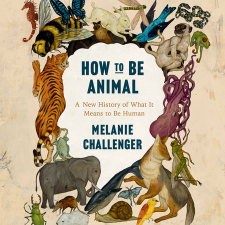 How to be Animal