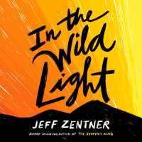 Cover of In the Wild Light cover