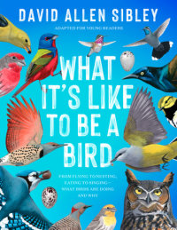 Cover of What It\'s Like to Be a Bird (Adapted for Young Readers) cover