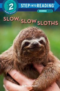 Book cover for Slow, Slow Sloths
