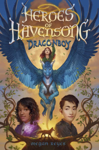 Cover of Heroes of Havensong: Dragonboy cover