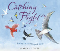 Cover of Catching Flight cover