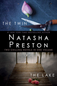 Book cover for The Twin and The Lake