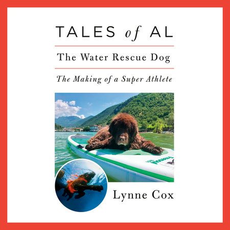 Tales of Al by Lynne Cox