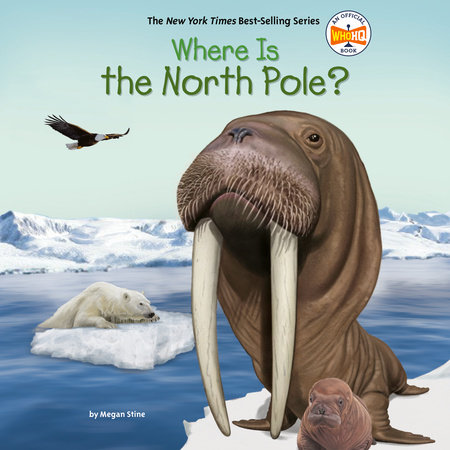 Where Is the North Pole?