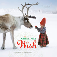 Cover of The Christmas Wish cover