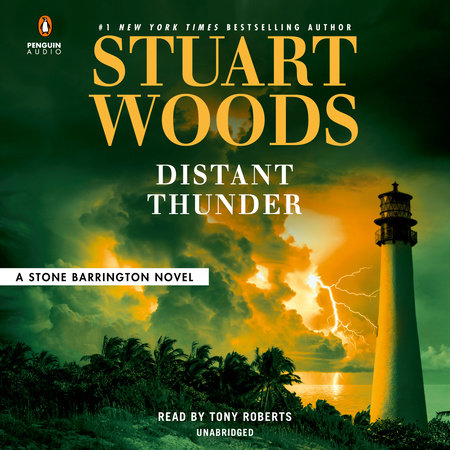 Distant Thunder book cover
