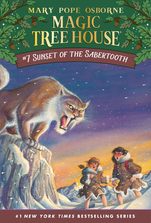 Image result for magic tree house books