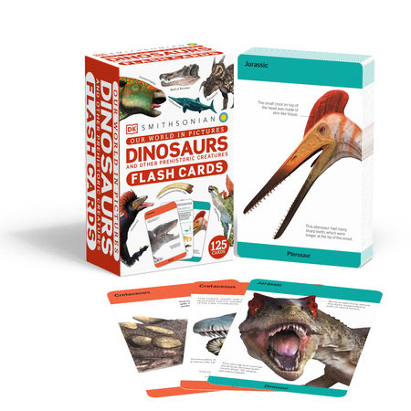 Our World in Pictures Dinosaur Flash Cards