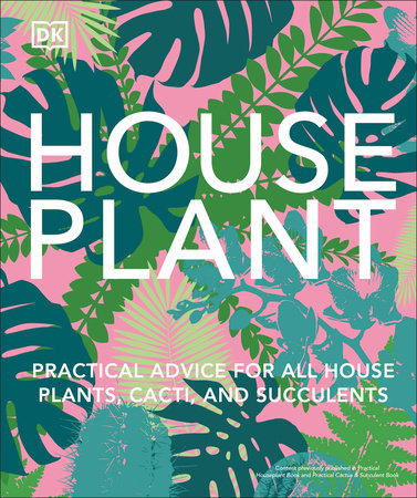House Plant
