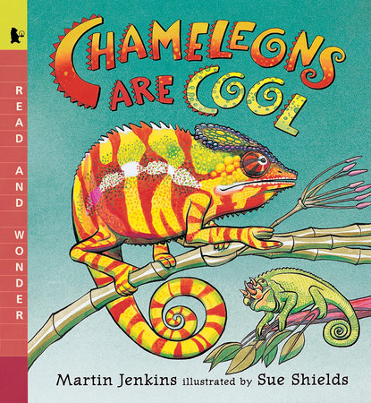 Chameleons Are Cool