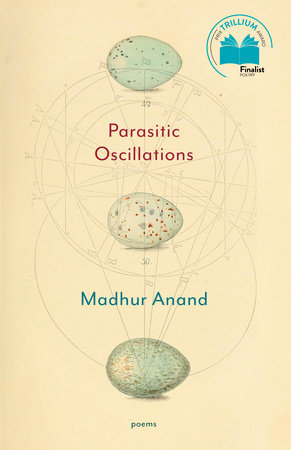 Parasitic-oscillations-/-Madhur-Anand.