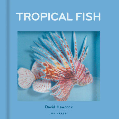 Tropical Fish - Author David Hawcock