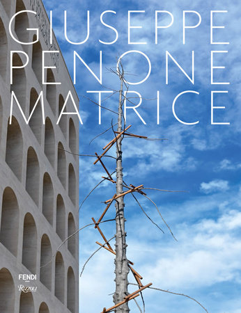 Giuseppe Penone: Matrice