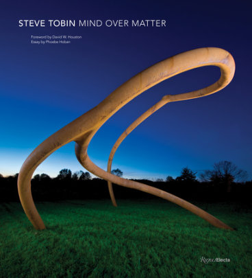 Steve Tobin - Foreword by David Houston, Text by Phoebe Hoban