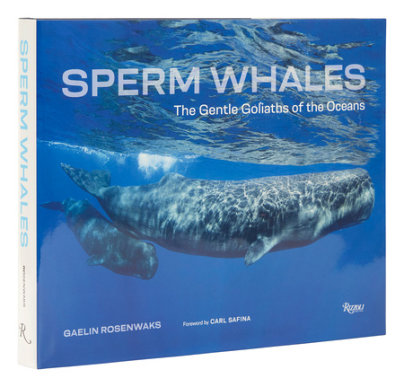 Sperm Whales - Author Gaelin Rosenwaks, Foreword by Carl Safina