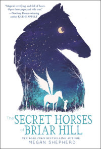 Book cover for The Secret Horses of Briar Hill