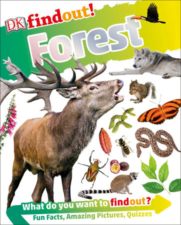 DKfindout! Forest