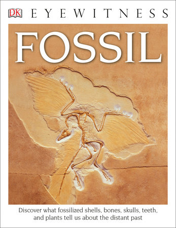 Eyewitness Fossil