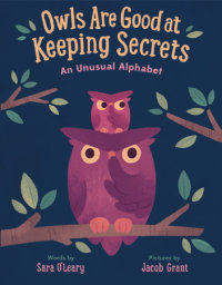 Cover of Owls are Good at Keeping Secrets cover