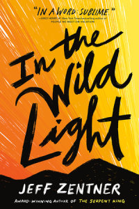 Book cover for In the Wild Light
