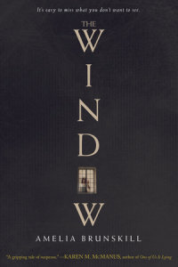 Cover of The Window cover