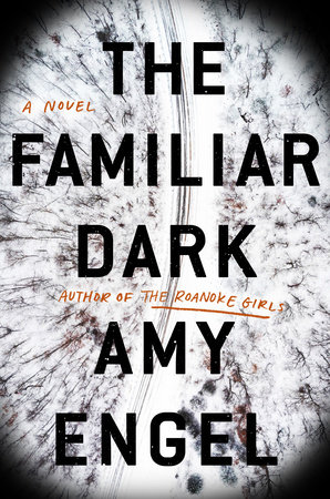 Cover image for The Familiar Dark