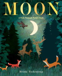 Book cover for Moon: A Peek-Through Picture Book