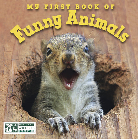 My First Book of Funny Animals (National Wildlife Federation) by National  Wildlife Federation (Author) | Penguin Random House Canada