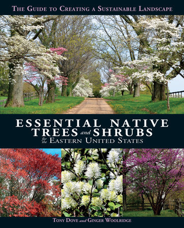 Essential Native Trees and Shrubs for the Eastern United States