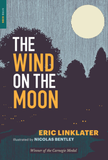 The Wind on the Moon