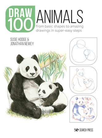 How to Draw Rainforest Animals in Simple Steps | Penguin Random House Retail