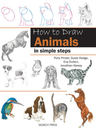 How to Draw Rainforest Animals in Simple Steps | Penguin Random House Retail