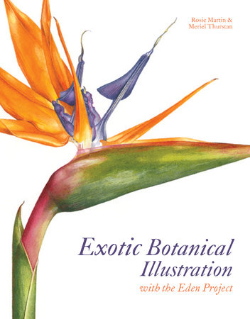 Exotic Botanical Illustration