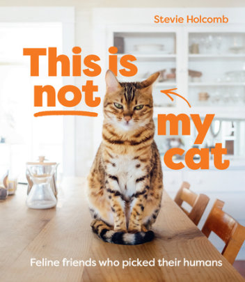 This Is Not My Cat - Author Stevie Holcomb