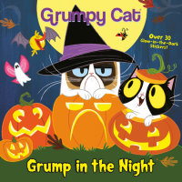 Book cover for Grump in the Night (Grumpy Cat)