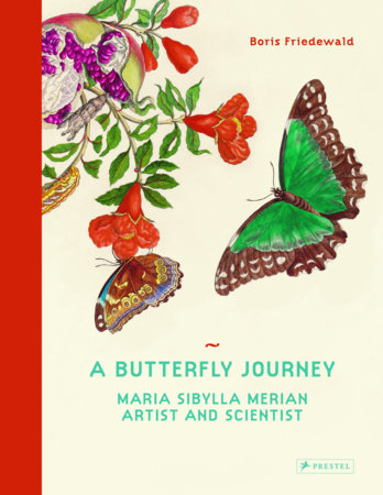 A Butterfly Journey